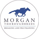 Morgan Thoroughbreds